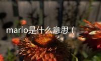 mario是什么意思（rio是什么意思）