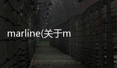 marline(關于marline簡述)