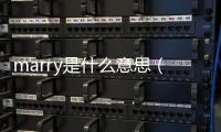 marry是什么意思（merry是什么意思）