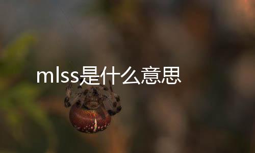 mlss是什么意思