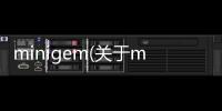 minigem(關于minigem簡述)