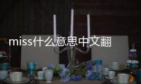 miss什么意思中文翻譯（miss什么意思中文）