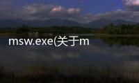 msw.exe(關于msw.exe簡述)