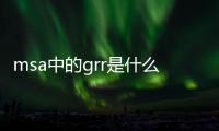 msa中的grr是什么意思（grr是什么意思）