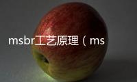 msbr工藝原理（msbr工藝是去除什么的）
