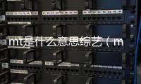 mt是什么意思綜藝（mt是什么意思）
