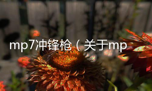 mp7沖鋒槍（關(guān)于mp7沖鋒槍的基本情況說(shuō)明介紹）