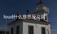 loud什么意思反義詞（loud什么意思）