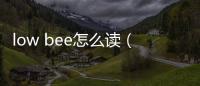 low bee怎么讀（low bee是什么意思）