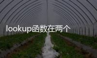 lookup函數在兩個表格之間的使用方法