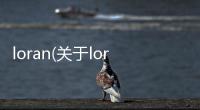 loran(關于loran簡述)
