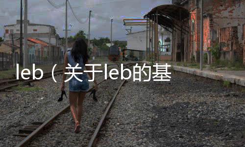 leb（關于leb的基本情況說明介紹）