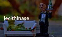 lecithinase(關于lecithinase簡述)
