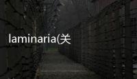 laminaria(關于laminaria簡述)