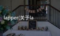 lapper(關于lapper簡述)