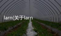 larn(關于larn簡述)