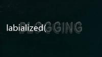 labialized(關(guān)于labialized簡述)