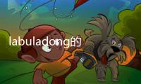 labuladong的算法小抄(關(guān)于labuladong的算法小抄簡述)