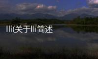 lli(關于lli簡述)