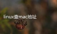 linux查mac地址命令（查mac地址命令）