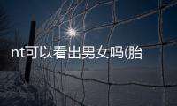 nt可以看出男女嗎(胎兒臍帶和**b超的區別)