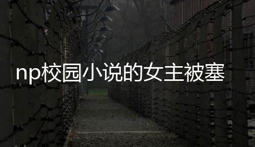 np校園小說的女主被塞了震動棒被其中一個男主虐待成功后女主就做成了