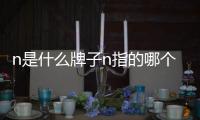 n是什么牌子n指的哪個品牌