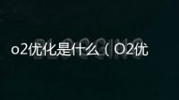 o2優化是什么（O2優化到底做了啥）