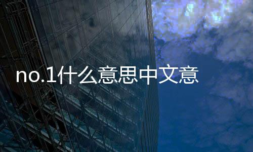 no.1什么意思中文意思（no 1的意思）