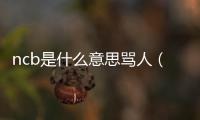 ncb是什么意思罵人（nc罵人是什么意思啊）