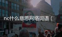 nc什么意思網絡詞語（nc是什么意思網絡用語）