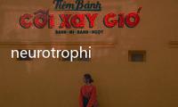 neurotrophic(關于neurotrophic簡述)
