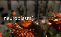 neuroplasm(關(guān)于neuroplasm簡(jiǎn)述)
