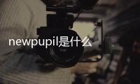 newpupil是什么意思（pupil是什么意思）