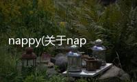 nappy(關于nappy簡述)