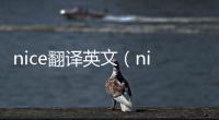 nice翻譯英文（nice 翻譯）