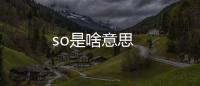 so是啥意思