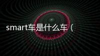 smart車是什么車（什么是冚車）