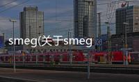 smeg(關于smeg簡述)