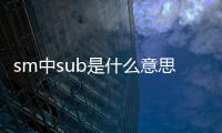 sm中sub是什么意思啊（sm中sub是什么意思）