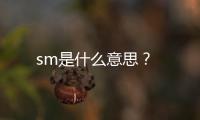 sm是什么意思？