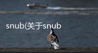 snub(關(guān)于snub簡述)