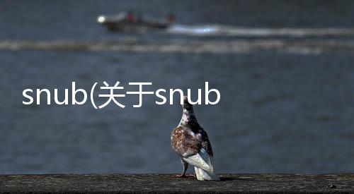 snub(關于snub簡述)
