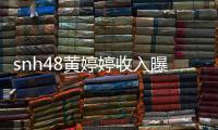 snh48黃婷婷收入曝光,黃婷婷年收入多少
