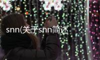 snn(關(guān)于snn簡述)