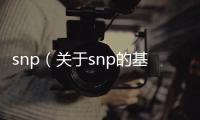 snp（關于snp的基本情況說明介紹）