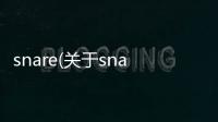 snare(關于snare簡述)