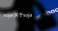 soja(關于soja簡述)