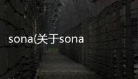 sona(關于sona簡述)