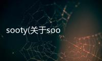 sooty(關于sooty簡述)